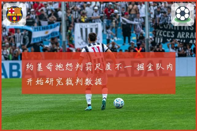 约基奇抱怨判罚尺度不一 掘金队内开始研究裁判数据