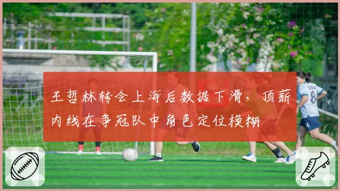 王哲林转会上海后数据下滑,顶薪内线在争冠队中角色定位模糊