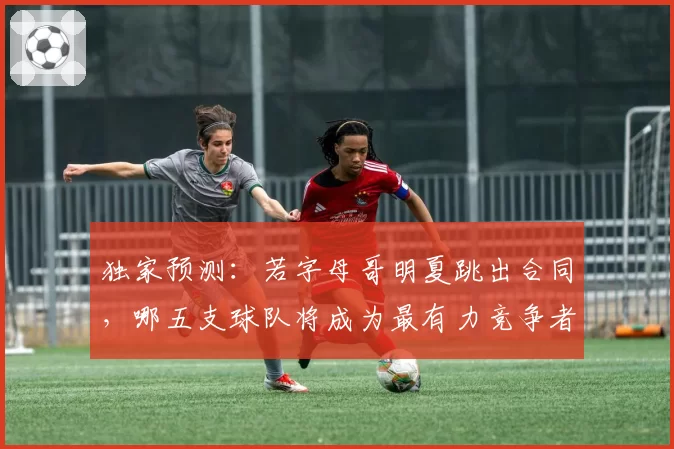 独家预测:若字母哥明夏跳出合同,哪五支球队将成为最有力竞争者?
